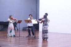 Quarteto Viola 4