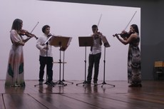 Quarteto Viola 5