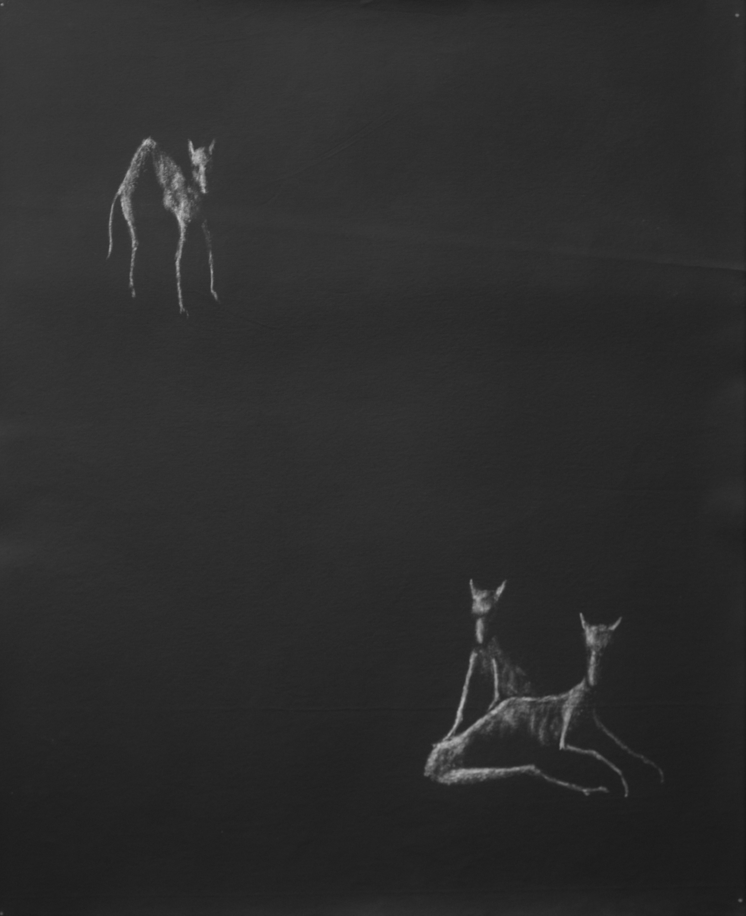 Aurora Caballero, 1992.