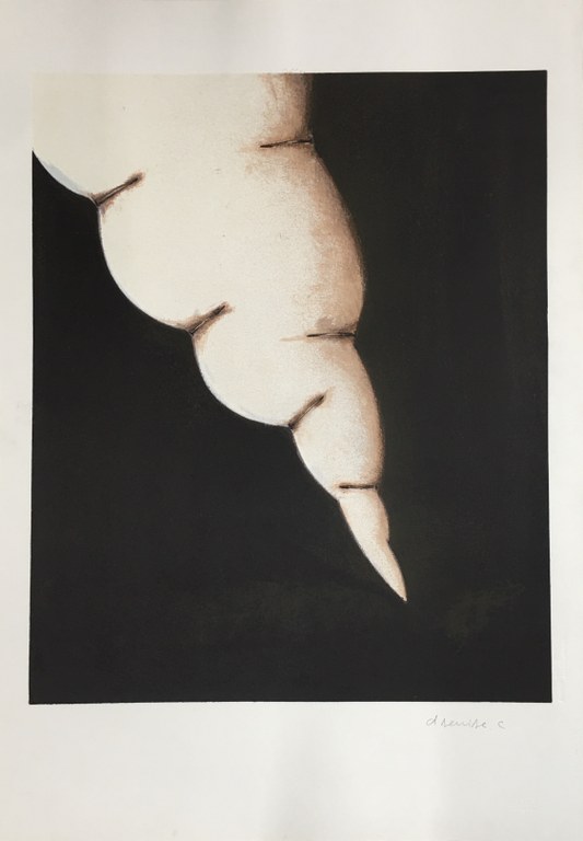 Fogo-fátuo, 1992. Fogo-fátuo, 1992.