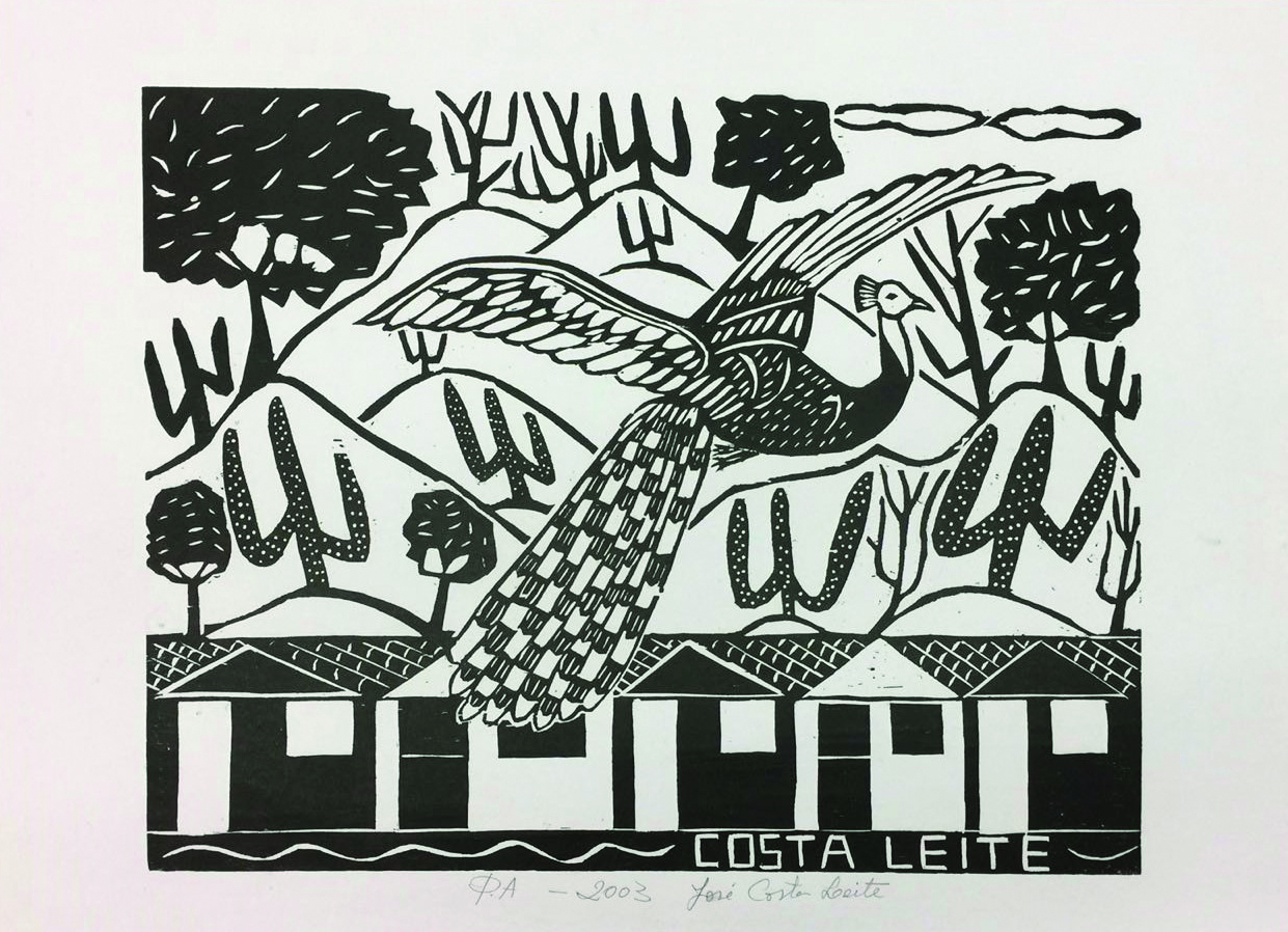 Pavão misterioso, 2003.