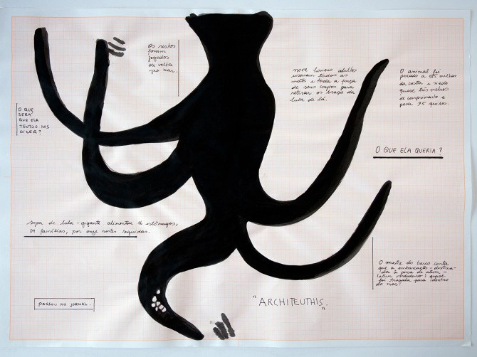 Architeuthis, Sofia Bauchwitz (2020) Architeuthis, Sofia Bauchwitz (2020)