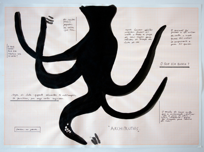 Architeuthis, Sofia Bauchwitz (2020)