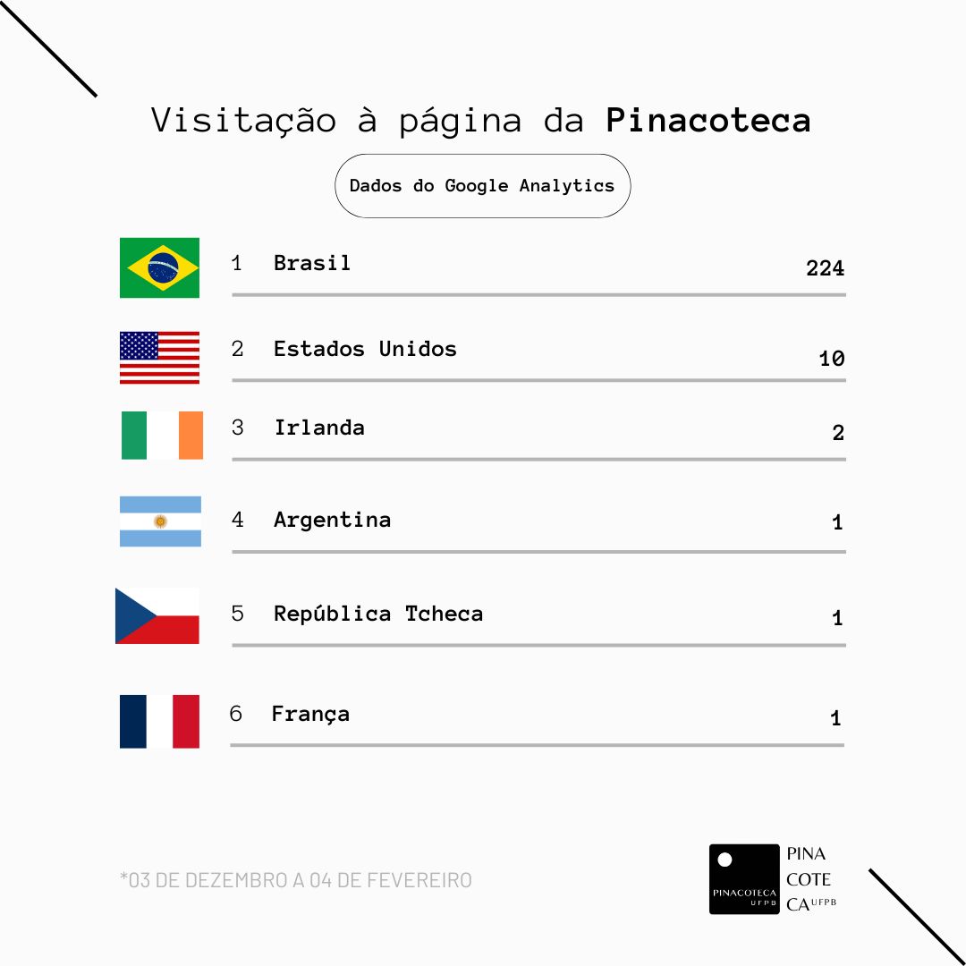 VISITAÇÃO DA PÁGINA (03/12/2024 – 04/02/2025)