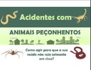 Acidentes com animais peconhentos.jpg